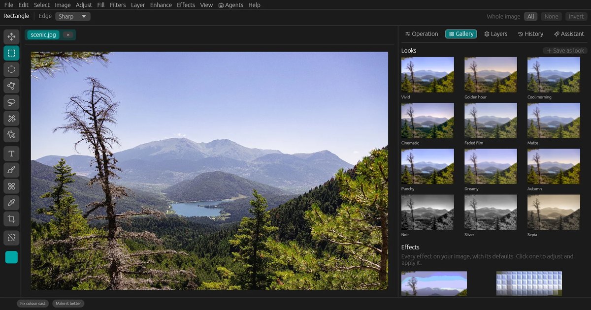I built an image editor you can talk to, and paint with any effect